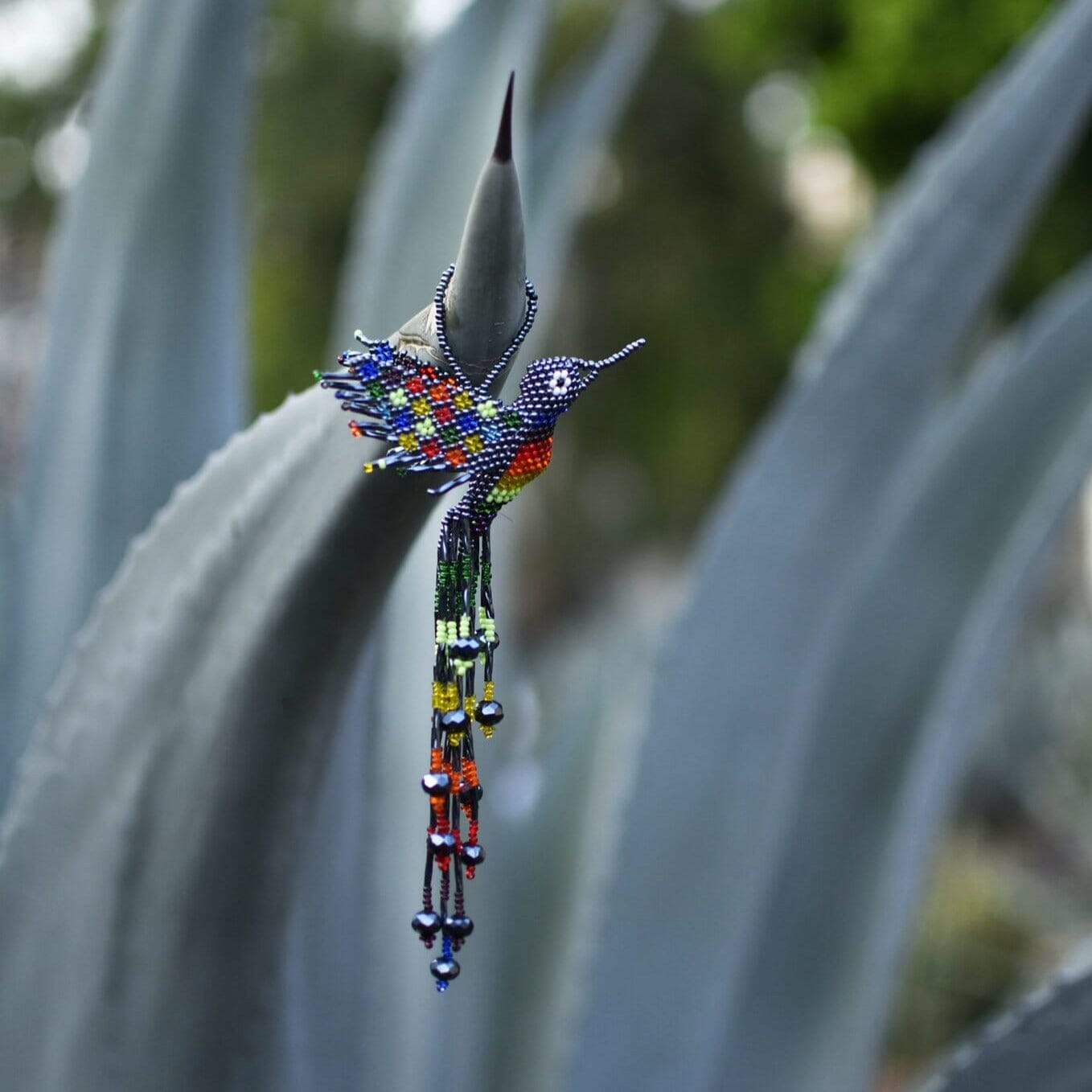 Midnight Hummingbird