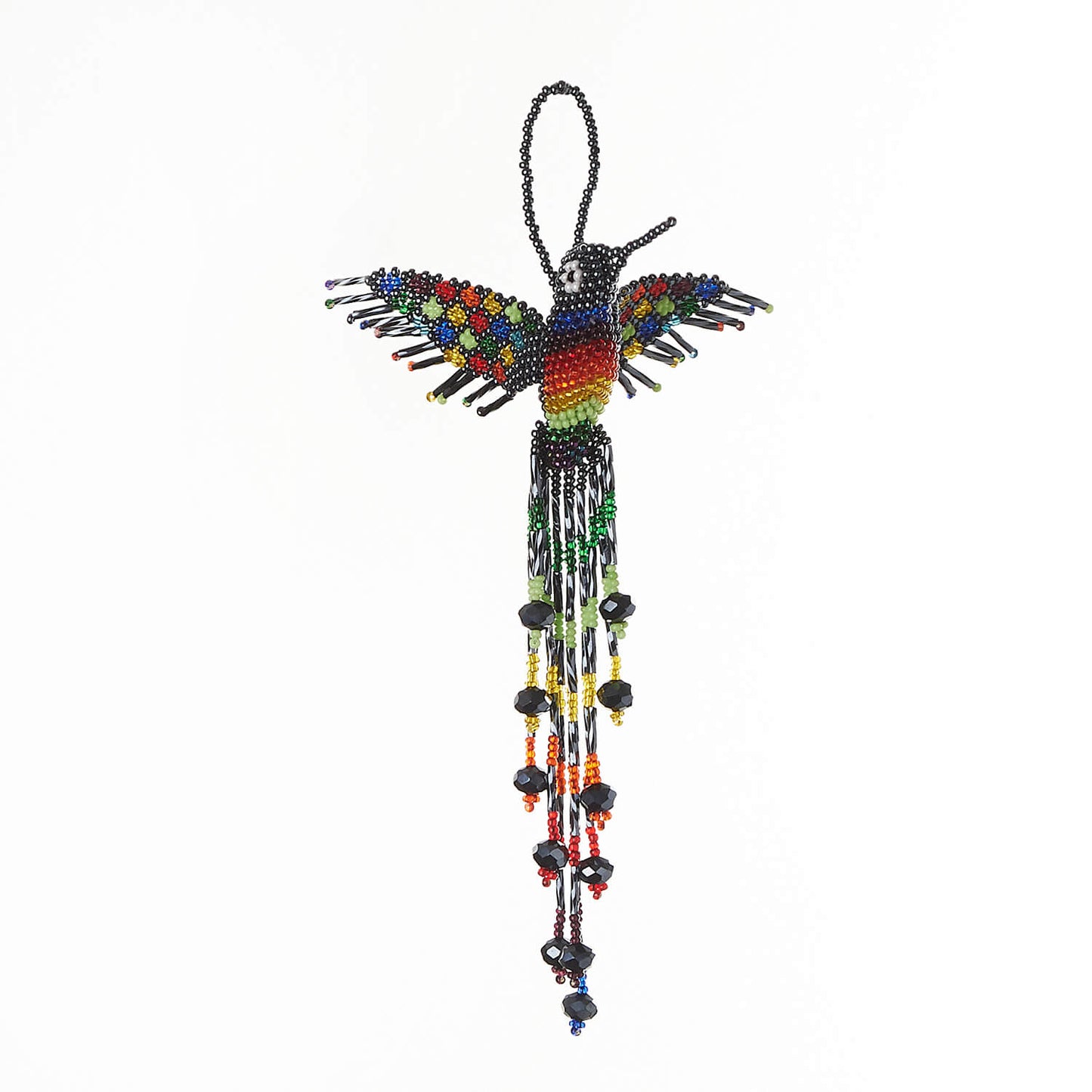 Midnight Hummingbird