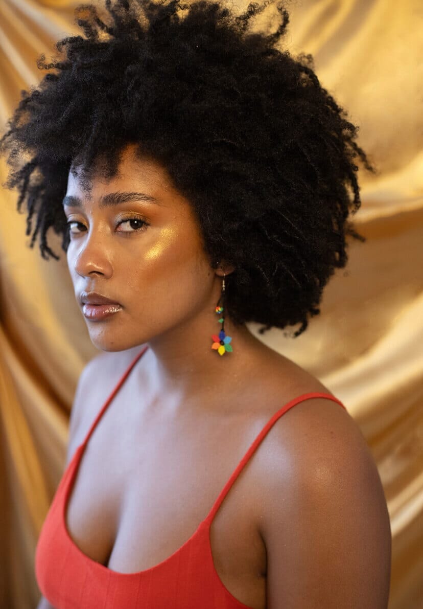 Rainbow Earrings