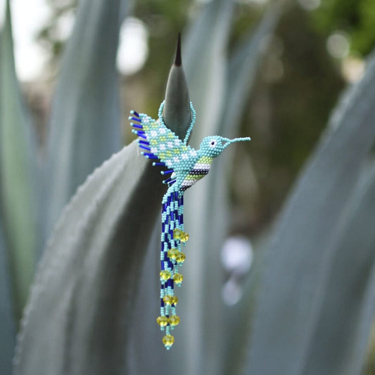 Pippy Hummingbird