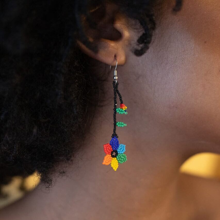 Rainbow Earrings