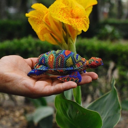 Rainbow Turtle