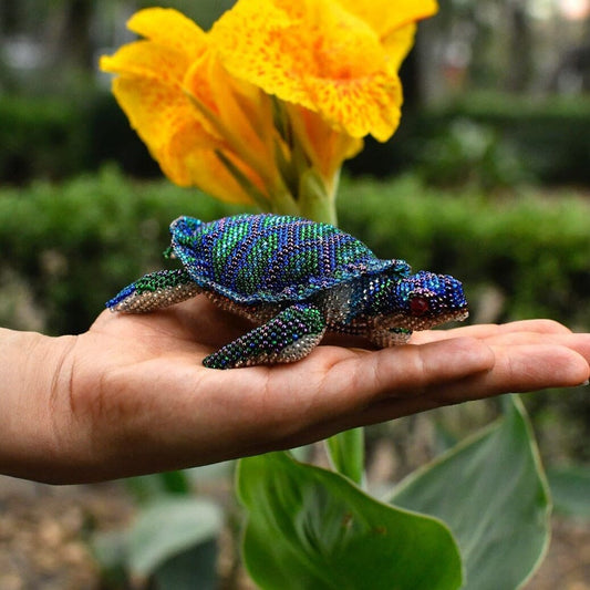 Sapphire Turtle