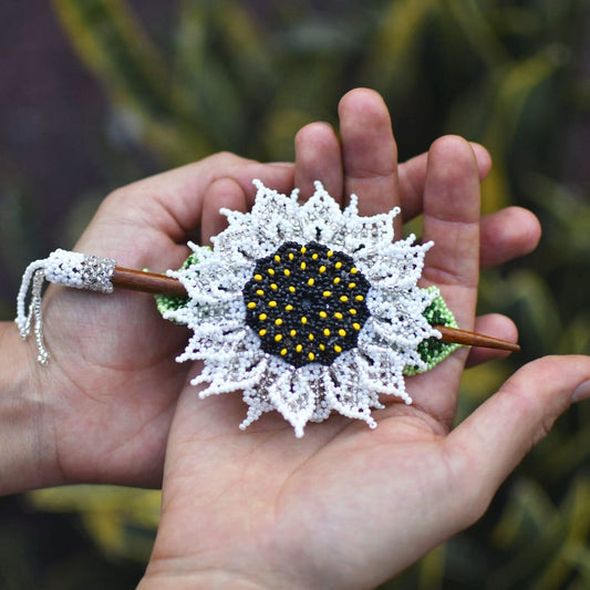 White Sunflower