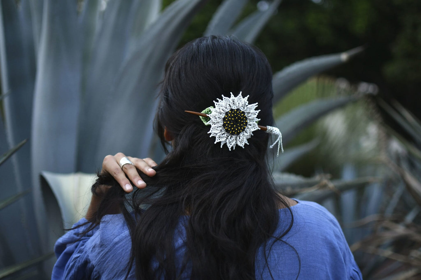 White Sunflower